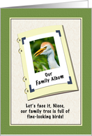 Niece’s Birthday, Humor, Cattle Egret Bird card