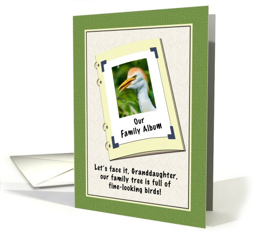 Granddaughter's Birthday, Humor, Cattle Egret Bird card (609123)