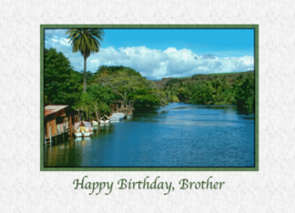 Brother's Birthday,...