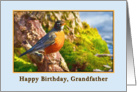 Grandfather’s Birthday, Robin on a Log card