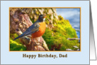 Dad’s Birthday, Robin on a Log card