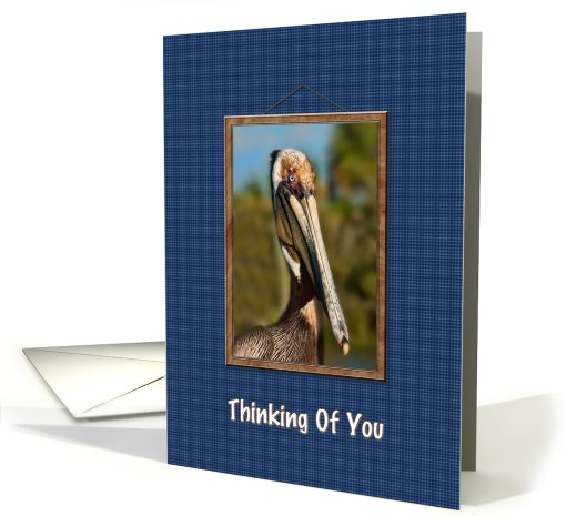 Thinking of You, Brown Pelican card (635090)
