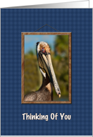 Thinking of You, Brown Pelican card