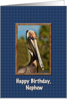Birthday, Nephew, Brown Pelican card
