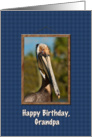 Birthday, Grandpa, Brown Pelican card