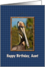 Birthday, Aunt, Brown Pelican card