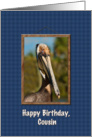 Birthday, Cousin, Brown Pelican card