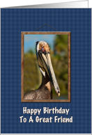 Birthday, Friend, Brown Pelican card
