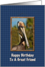 Birthday, Friend, Brown Pelican card