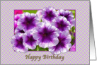 Happy Birthday, Religious, Petunias, Purple and White card