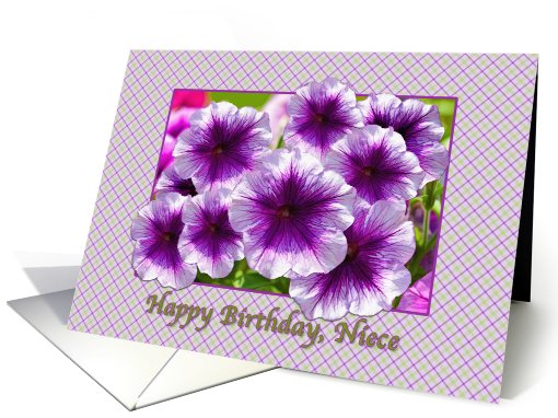 Happy Birthday, Niece, Petunias, Purple and White card (640814)