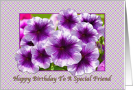 Happy Birthday, Friend, Petunias, Purple and White card