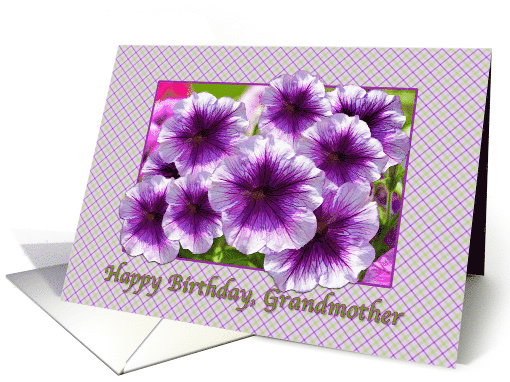 Happy Birthday, Grandmother, Petunias, Purple and White card (640817)