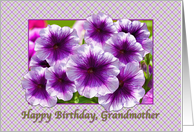 Happy Birthday, Grandmother, Petunias, Purple and White card