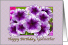 Happy Birthday, Godmother, Petunias, Purple and White card