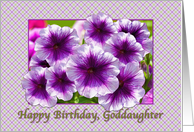 Happy Birthday, Goddaughter, Petunias, Purple and White card