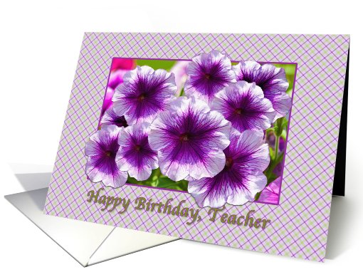 Happy Birthday, Teacher, Petunias, Purple and White card (640822)