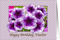 Happy Birthday, Teacher, Petunias, Purple and White card