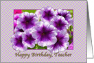 Happy Birthday, Teacher, Petunias, Purple and White card