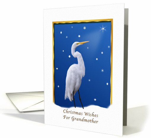 Christmas, Grandmother, Great Egret, Star, Snow card (656996)