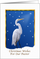 Christmas, Pastor, Great Egret, Star, Snow card