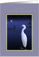 Christmas, Birthday, Religious, Nativity, Egret Bird card