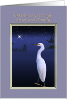 Christmas, Sister and Family, Religious, Nativity, Egret card
