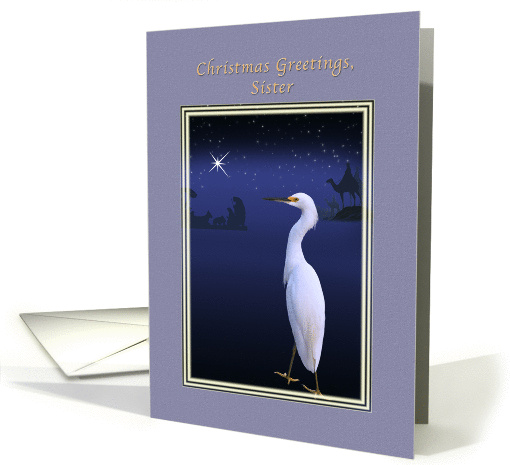 Christmas, Sister, Religious, Nativity, Egret card (663197)