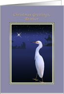 Christmas, Brother, Religious, Nativity, Egret card