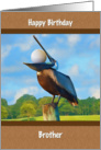 Birthday, Brother, Golf, Pelican, Golf Ball card