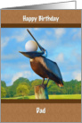 Birthday, Dad, Golf, Pelican, Golf Ball card