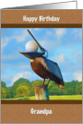 Birthday, Grandpa, Golf, Pelican, Golf Ball card