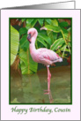 Birthday, Cousin, Pink Flamingo card
