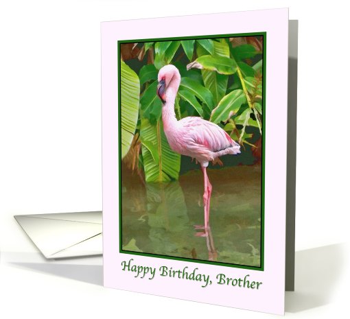 Birthday, Brother,  Pink Flamingo card (674739)