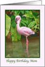 Birthday, Mom, Pink Flamingo card