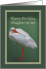 Birthday, Daughter-in-law, White Ibis Bird card