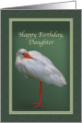 Birthday, Daughter, White Ibis Bird card