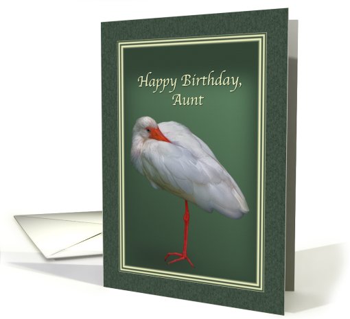 Birthday, Aunt, White Ibis Bird card (676264)