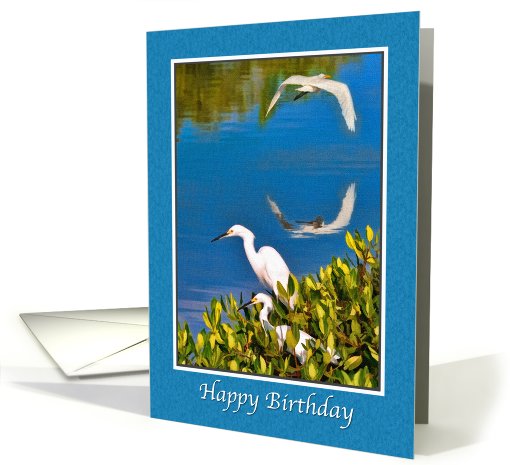 Birthday, Egret Birds on Blue Water card (677411)