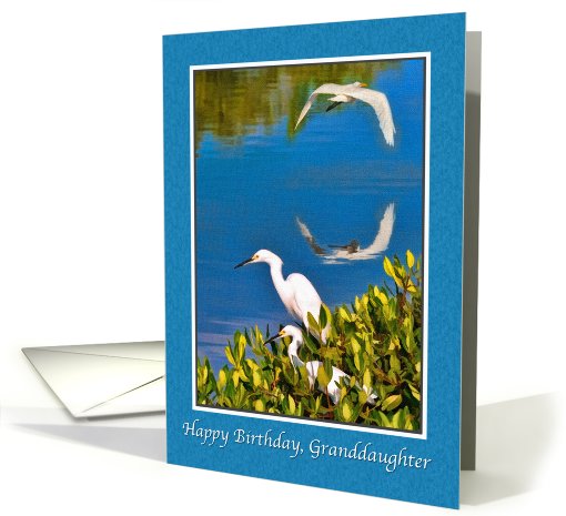 Birthday, Granddaughter, Egret Birds card (678581)
