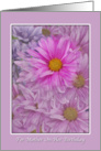 Birthday, Mother, Gerbera Daisies, Pink and Lavender card