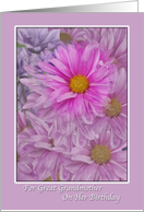 Birthday, Great Grandmother, Gerbera Daisies, Pink and Lavender card