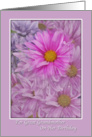 Birthday, Great Grandmother, Gerbera Daisies, Pink and Lavender card