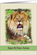 Birthday, Godson, Lion card