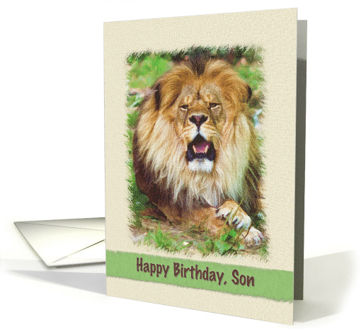 Birthday, Son, Lion card (688030)