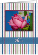 Hi/Hello, Red Rose, Stripes card