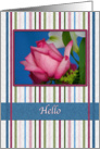 Hi/Hello, Red Rose, Stripes card