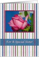 Birthday, Sister, Red Rose, Stripes card