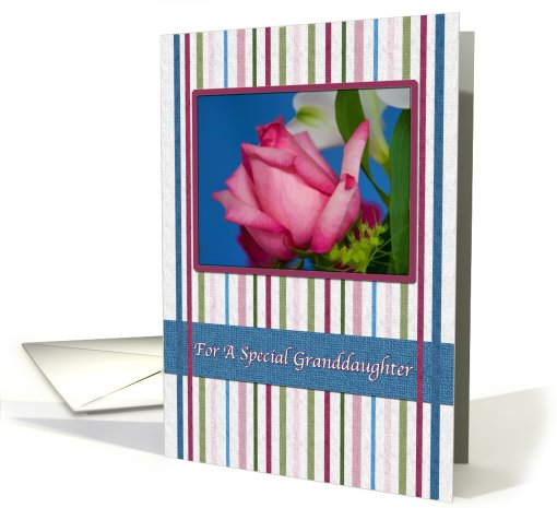 Birthday, Granddaughter, Red Rose, Stripes card (692815)