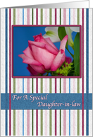 Birthday, Daughter-in-law, Red Rose, Stripes card